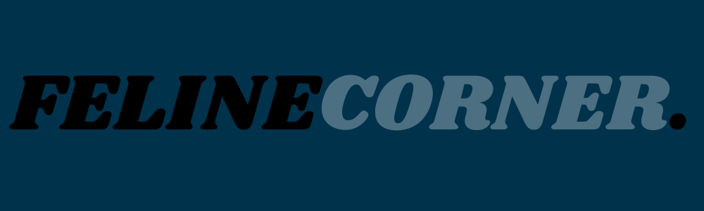 FelineCorner